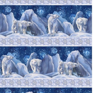 Polar Frost - Border Stripe - Pattern #24838-46 - by Northcott - 100% Cotton Woven Fabric, Choose Your Cut