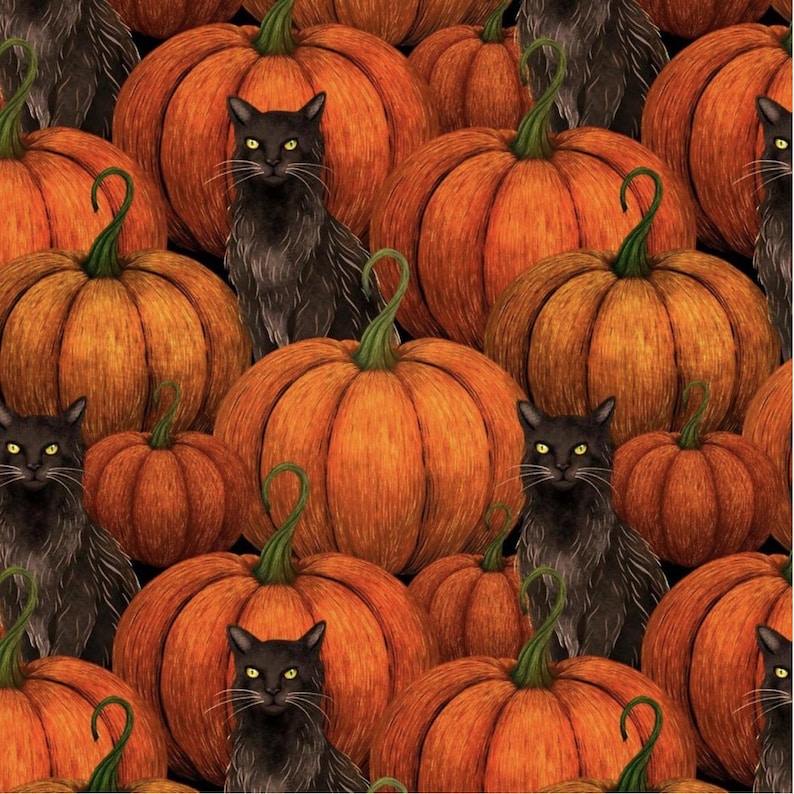 Harvest Haunt - 4813-33 Orange - Pumpkins and Black Cats - Blank ...