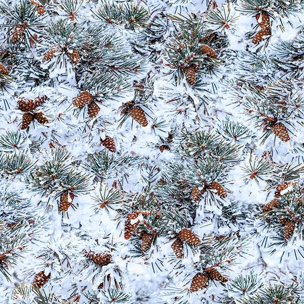 Winter's Wings - Pine Cones and Needles in the Snow - Pattern # T4867-141-Pine - by Hoffman -100% Cotton Woven Fabric - Choose Cut