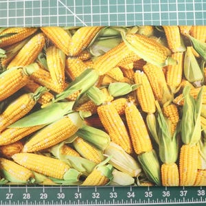A La Carte - # 54402D - Ears of Corn - by Windham - 100% Cotton Woven - Choose Your Cut