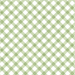 Berrylicious #1578-06 Wit/Groen - Gingham - van Henry Glass - 100% geweven katoen - Kies jouw snit