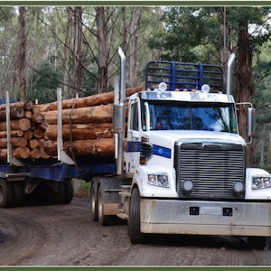 Road Trains - #1006F - Logging Truck - Measures 36&quot; x 44&quot; - by Kennard Designs for Quiltex - 100% Cotton Woven Fabric Panel