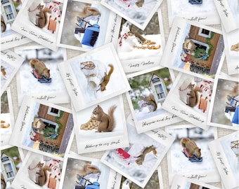 The Secret Life of Squirrels II Digital Photos - Y4221-55 Multi Color - by Clothworks - 100% Cotton Woven Fabric - Choose Your Cut