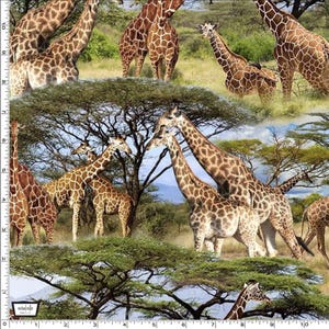 May include: A colorful fabric featuring a pattern of giraffes in a savanna setting. The giraffes are brown and tan with spots and are standing in a grassy field with trees in the background.