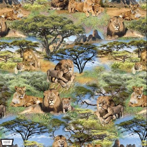 SERENGETI PLAINS - African Pride - Pattern # DCX11961-UMBE-D - Lions - Michael Miller - 100% Cotton Woven Fabric - Choose Your Cut
