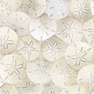 Packed Sand Dollars on Beach - Pattern # BEACH-C8461 SAND - by Timeless Treasures - 100% Cotton Woven Fabric -  Choose Cut