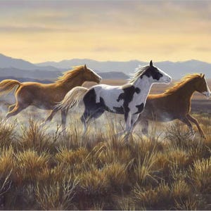 Open landpaneel wilde paarden - # PD15531-OPEN - van Riley Blake - 36 x 43 inch - 100% geweven katoen