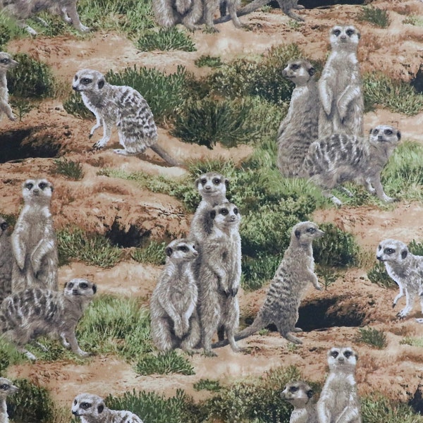 Born Free by Fabri-Quilt, Meerkats, African Wildlife Collection, 100% Cotton Woven Fabric, Choose Your Cut