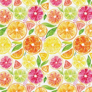 Sweet & Sour Citrus Mix - White - by Paintbrush Studio - 100% Cotton Woven Fabric - Choose Your Cut