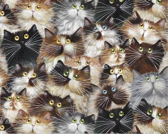 108" WIDE QUILT BACKING  - Cat Pack - # 54281W-1DES Fur - by Windham - 100% Cotton Woven Fabric - Choose Your Cut