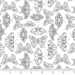 Eventide by Rebecca Jane Woolbright for Phoebe Fabrics - #PH0152 - Porch Lights - 100% Cotton Woven Fabric - Choose Your Cut