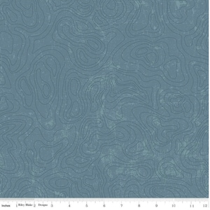 Topografische kaart nationale parken - blauw - #C13293-BLAUW - van Riley Blake - 100% geweven katoen - kies je snit