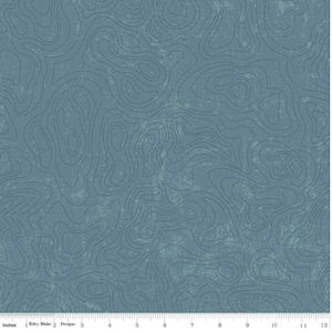 National Parks Topographic Map - Blue - #C13293-BLUE - by Riley Blake - 100% Cotton Woven Fabric - Choose Your Cut