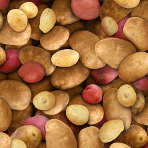 Food Festival - Potatoes - #387 - by Elizabeth&#39;s Studio - 100% Cotton Woven Fabric - Choose Your Cut