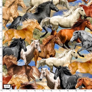 Big Sky Country - Freedom - Pattern #DCX11300-MULT-D - by Michael Miller - 100% Cotton Woven Fabric - Choose Your Cut