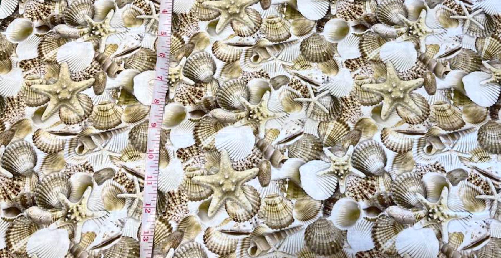Let Your Light Shine - Beach CD3973 Shell - Packed Shells - Timeless ...