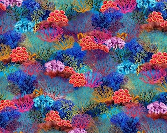 coral reef  Amazon.com : Live Saltwater Coral - Forest Fire Montipora