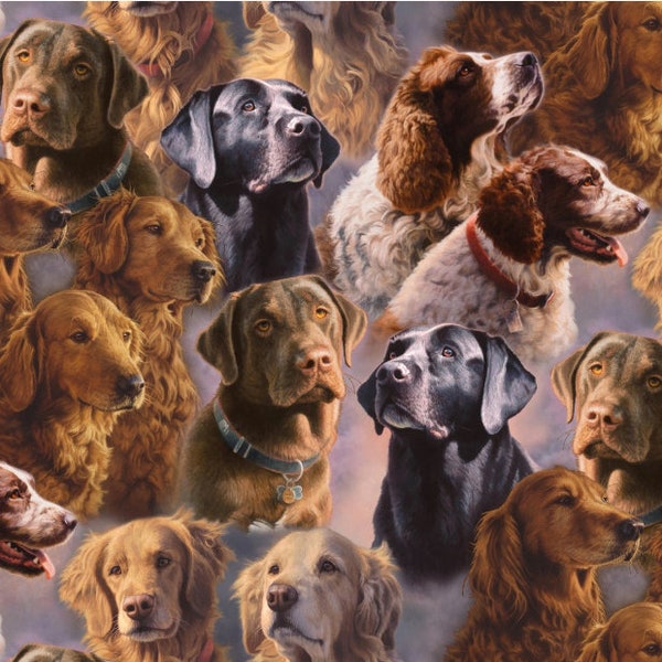 Dog Portraits - # AS-0097-2C-1 Multi - Digital Print - by David Textiles - Labs, Setters, Retrievers - 100% Cotton Woven Fabric - Choose Cut