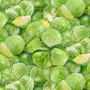 May include: A close-up image of a pile of green cabbage heads. The cabbage is fresh and has a light green color.
