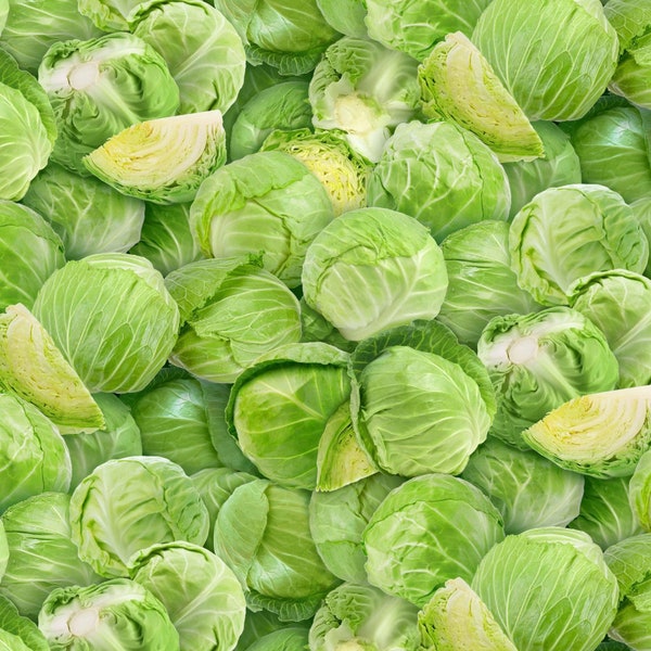 Food Festival - Green Cabbages - Pattern # 653 - Elizabeth's Studio - 100% Cotton Woven Fabric, Choose Your Cut