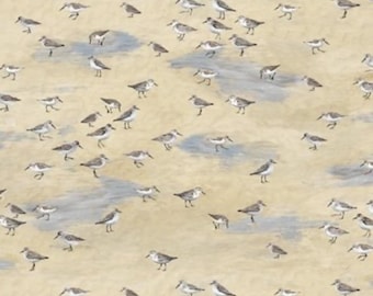 Let Your Light Shine - Birds on Beach CD3972 Sand - Sandpipers - Timeless Treasures - Cotton Fabric - Choose Cut