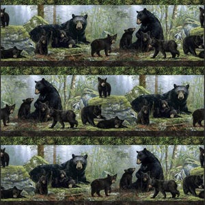 Bear&#39;s Den - Repeating Border Stripe - Pattern #DP27621-99 - by Northcott - 100% Cotton Woven Fabric - Choose Cut