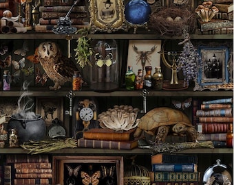 Witch Apothecary Book Shelf - Timeless Treasures - #LIBRARY-CD2877  BROWN - 100% Cotton Woven Fabric - Choose Your Cut