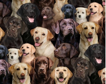 Best Friend - #686 Multi - Labradors - by Elizabeth's Studio - 100% Cotton Woven Fabric - Choose Your Cut