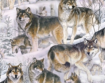 May include: A group of grey and brown wolves are standing in a snowy forest. The wolves are looking at the camera. The snow is deep and the trees are bare.