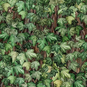 Botanical - Ivy Green - #6BL-1 - by In the Beginning Fabrics - 100% Cotton Woven Fabric - Choose Cut