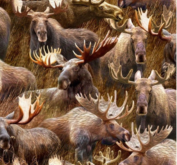 Wilderness - #59-7401 Multi - Moose - by Oasis Fabrics - American