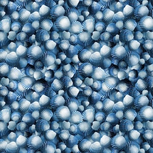 Pode incluir: Um padrão repetitivo de conchas azuis e brancas. As conchas estão agrupadas, criando um design texturizado com tema oceânico. As conchas têm uma textura nervurada e um gradiente de tons de azul.