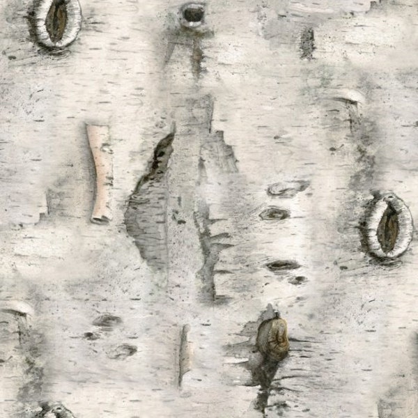 Landscape Medley #4324 Gray Birch Bark - Elizabeth's Studio - 100% Cotton Woven Fabric - Choose Your Cut
