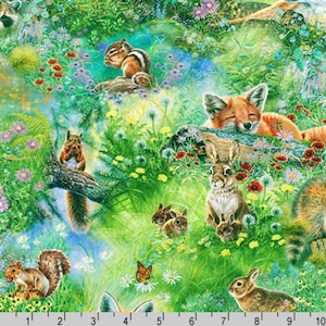 North American Wildlife - #19184-270 MEADOW - Designed by Abraham Hunter for Robert Kaufman - 100% Cotton Woven Fabric - Choose Your Cut