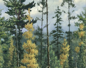Northwood Naturescapes - Dies ist lfdm, kein Panel - # DP27541-78 - von Northcott - 100% Baumwollgewebe - Wählen Sie Ihren Schnitt