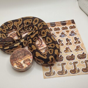 Op de afbeelding: Een koningspython met bruine en bruine markeringen, opgerold rond een stickervel en washitape. Het stickervel bevat illustraties van slangen met hoeden en accessoires. De washitape is 15 mm x 9,14 meter en heeft een slangenontwerp.