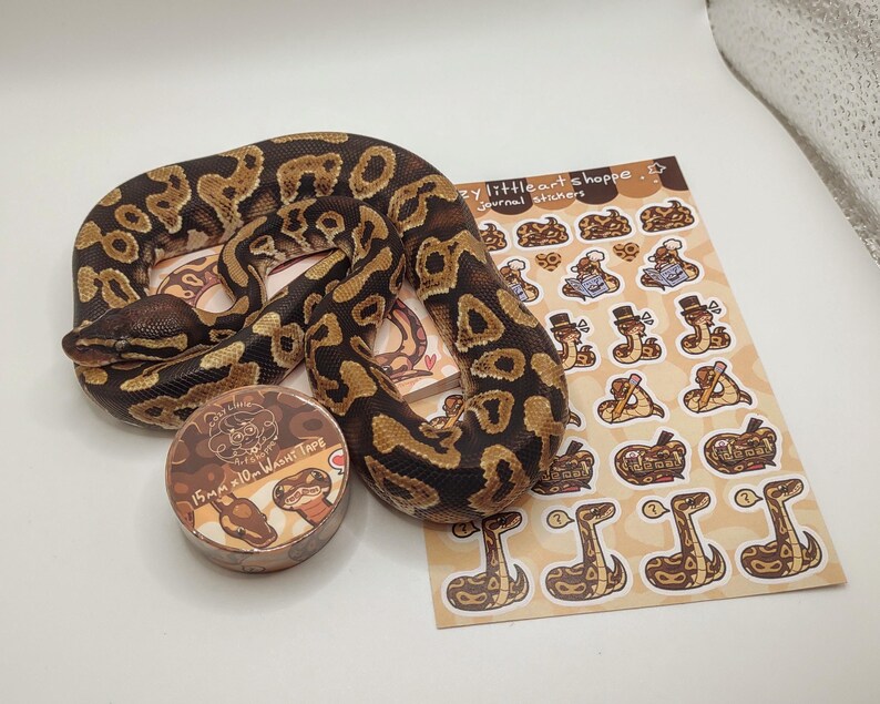 Op de afbeelding: Een koningspython met bruine en bruine markeringen, opgerold rond een stickervel en washitape. Het stickervel bevat illustraties van slangen met hoeden en accessoires. De washitape is 15 mm x 9,14 meter en heeft een slangenontwerp.