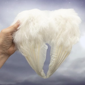 May include: A pair of white angel wings made of feathers. The wings are held in a hand and are spread out, showing the detail of the feathers.