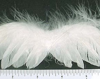 Angel Making Wings White Feather 7" Craft Supply Barbie Size
