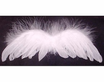 Sizzix Angel Wings Wing Shapes From Cardstock Paper Die Cuts for Card  Making Crafts Baby Angel DIY Projects Embellishments Hang Tags 