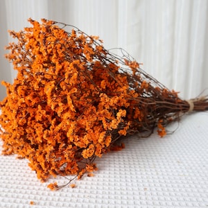 Orange Natural crystal grass, lover grass flowers, bouquet decoration, ornaments, natural dried flowers, home decoration, wedding decoration