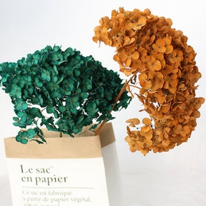 Preserved Flower Real Preserved Flower Preserved Hydrangea Small Hydrangea Wedding Flowers One Bunch