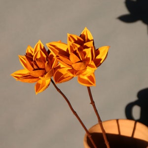 Colorful Natural Dried Flower Lotus Real Flower Lotus For Wedding Birthday 2 Pcs