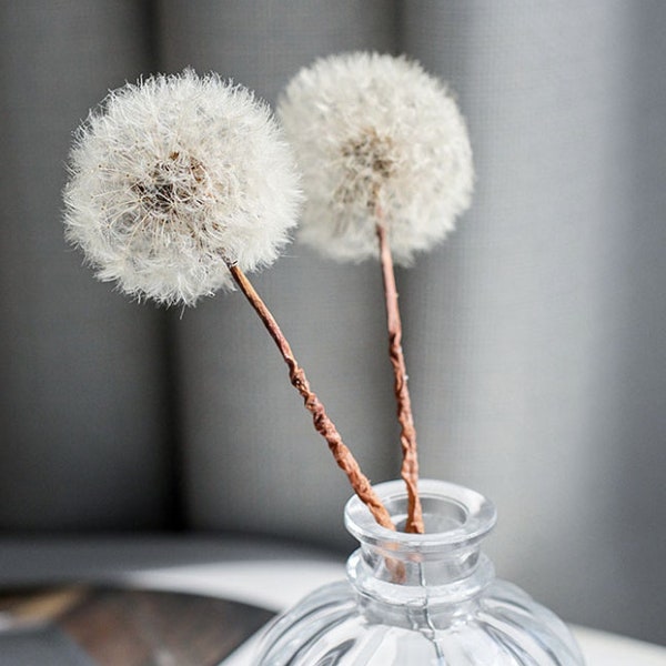 Dandelion flowers Eternal flower Filler Home Decor Centerpiece Wedding Bouquets Flower arrangement Decorative flower box,1 PC