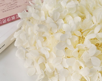 White dried flower Real Preserved flower Preserved hydrangea small hydrangea wedding flowers