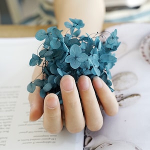20G Colorful dried flower Real Preserved flower Preserved hydrangea small hydrangea wedding flowers 1 box