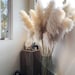 5 stems pampas grass 34'' , dried flowers, pampasgrass, Natural Dried Pampas Grass, Phragmites Communis,Reed Plume,Wedding