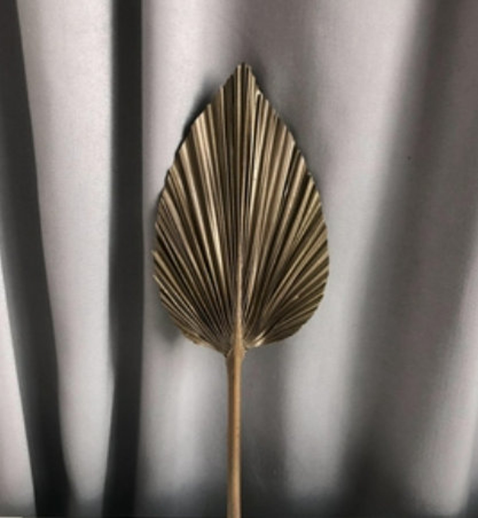 Palm Leaves Large Dried Palms Dried Palm Leaves Bleached Etsy