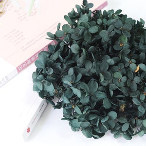 Dark blue dried flower Real Preserved flower Preserved hydrangea small hydrangea wedding flowers