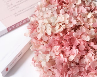 Pink white dried flower Real Preserved flower Preserved hydrangea small hydrangea wedding flowers